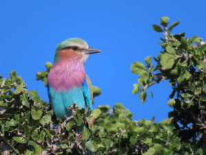 oat tours south africa